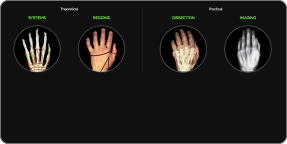 How to use Anatomedia